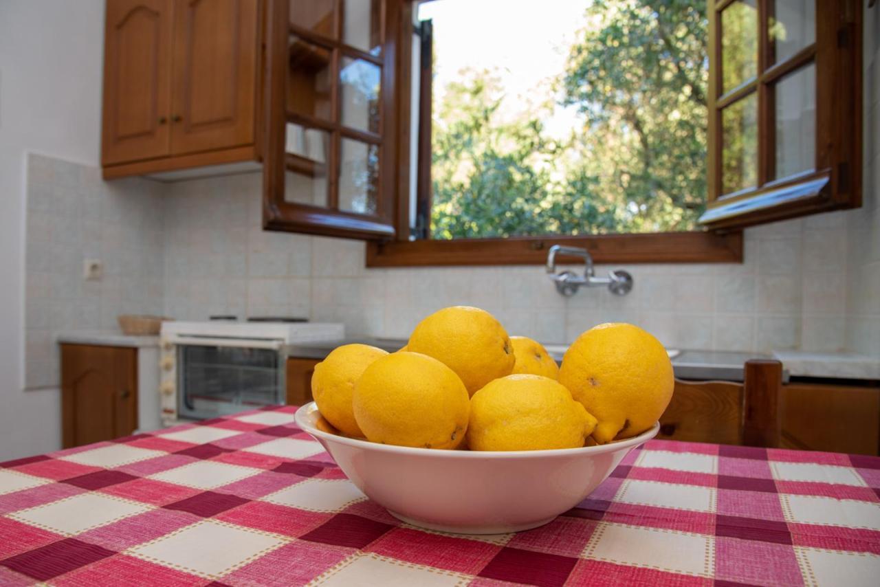 Apartament Amalia Complex Nisaki (Corfu)